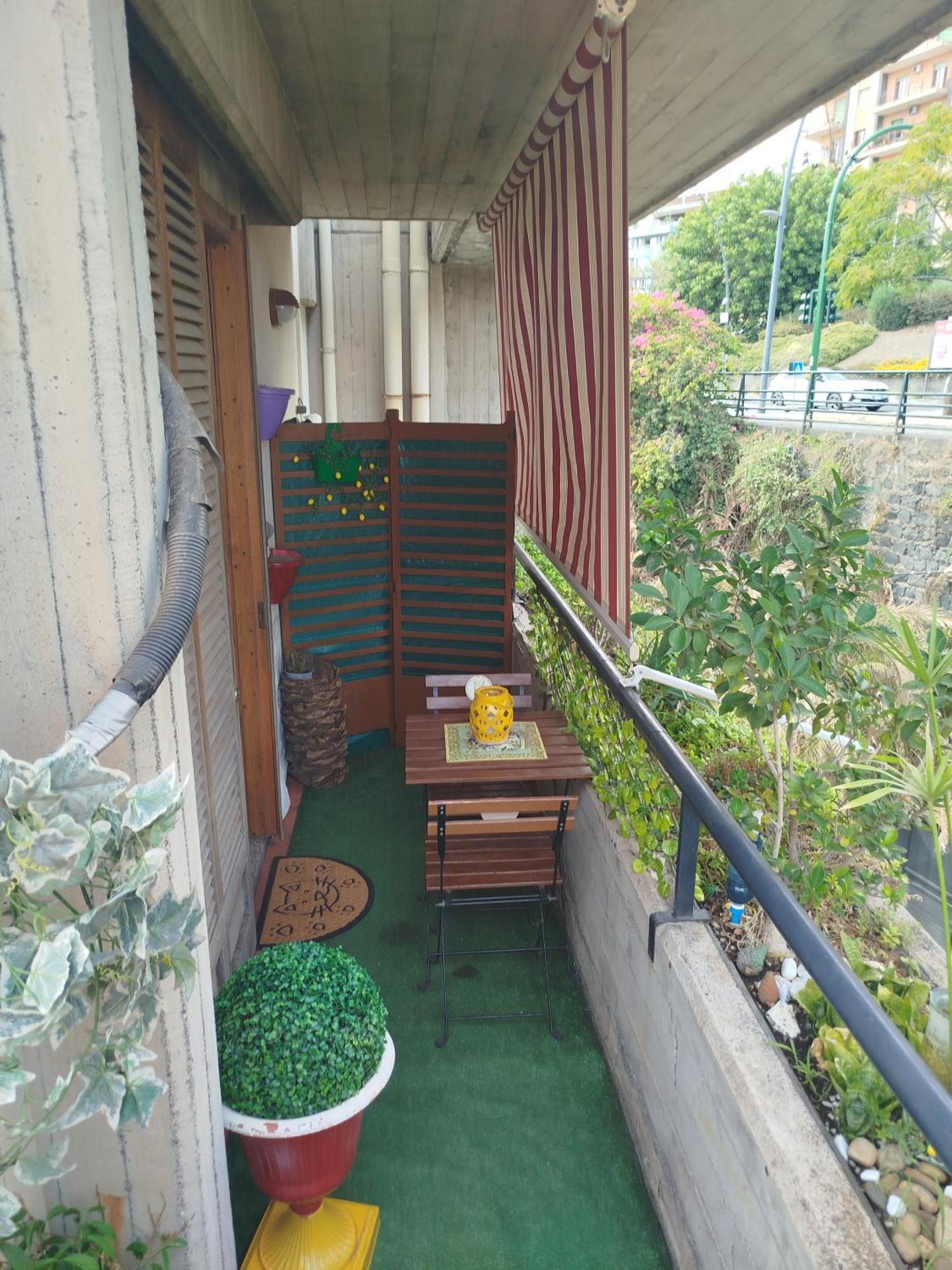 Casalicuti